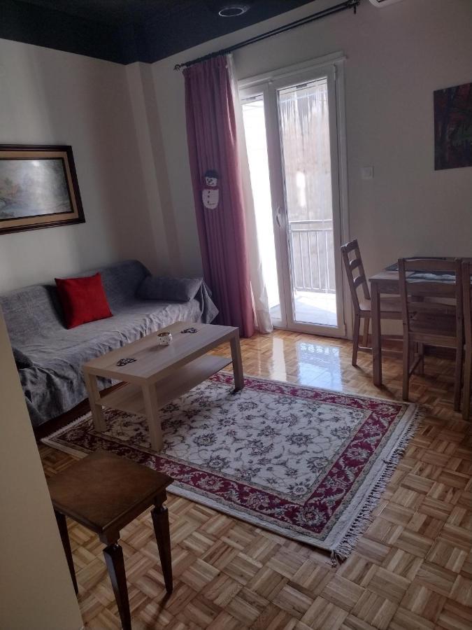 City Center Apartment Ioannina Extérieur photo